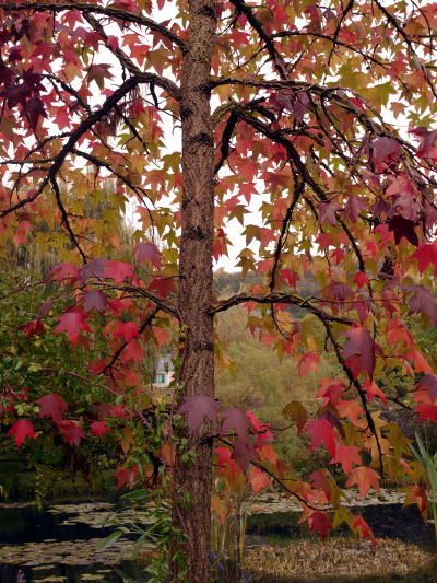 c0090198_2151327.jpg