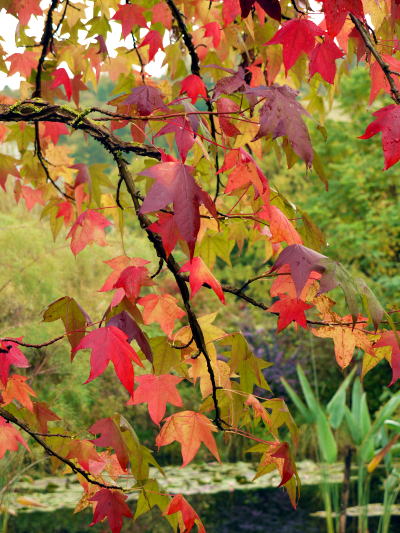 c0090198_2153467.jpg