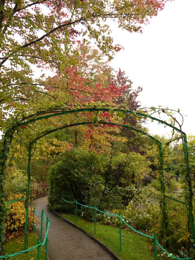 c0090198_2155549.jpg