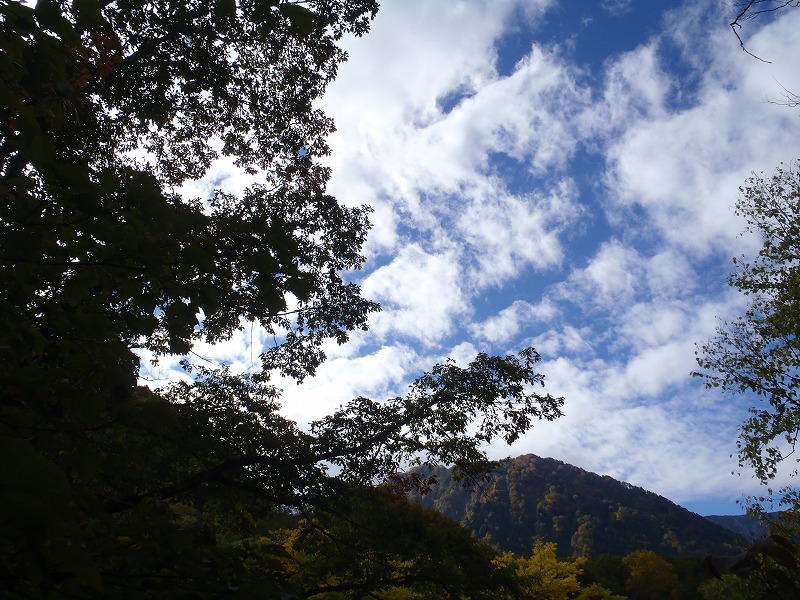 c0147398_2205717.jpg