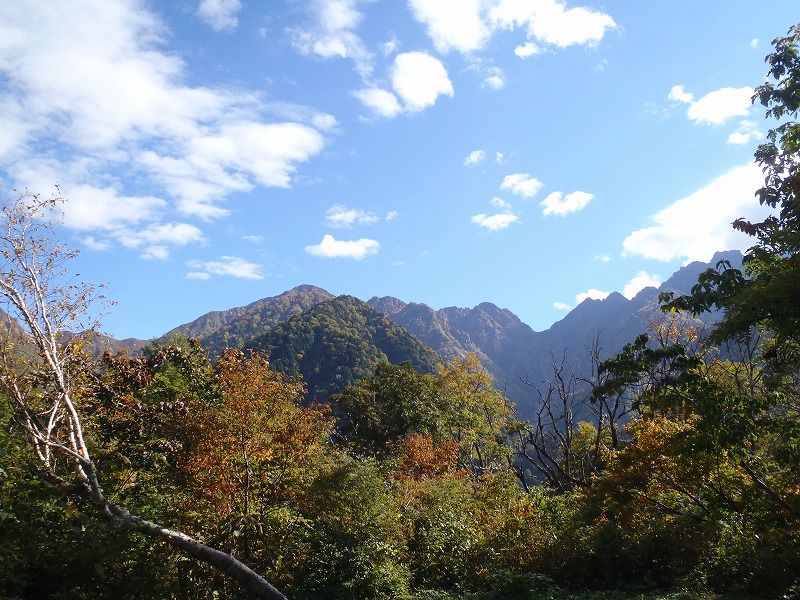c0147398_22166.jpg