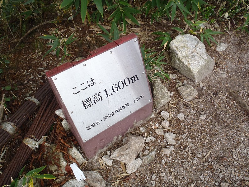 c0147398_2235172.jpg