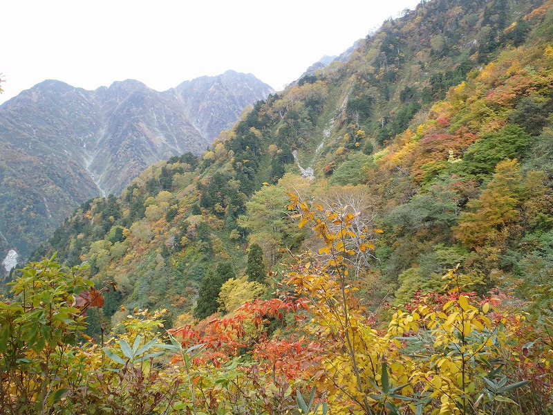 c0147398_224087.jpg