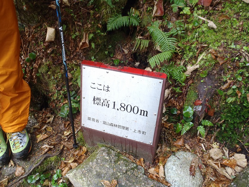 c0147398_2251489.jpg