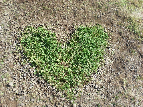 c0241498_2232139.jpg