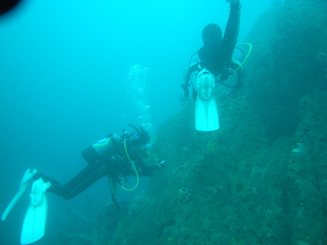e0115199_1716429.jpg