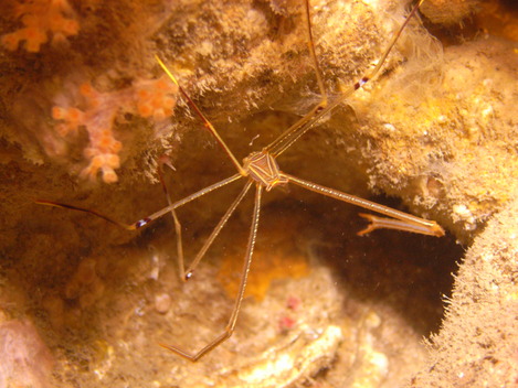 e0115199_1717507.jpg