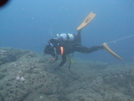 e0115199_17384866.jpg