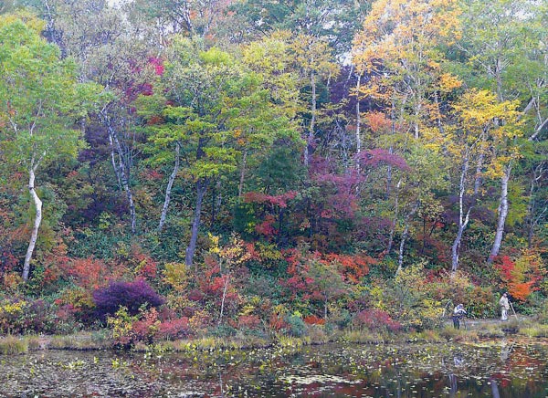 e0269400_911211.jpg