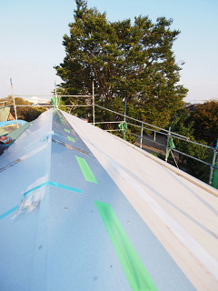 c0039501_17185444.jpg