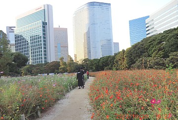 2012年10月20日（土） ； 晴れ_d0051601_22491488.jpg