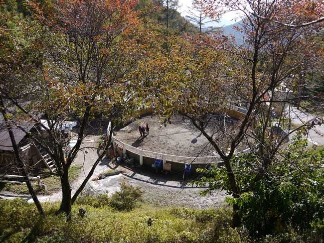 e0163202_1922587.jpg