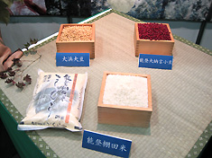a0177205_16222667.jpg