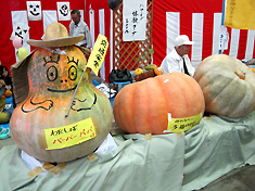a0177205_16564893.jpg