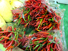 a0177205_16565830.jpg