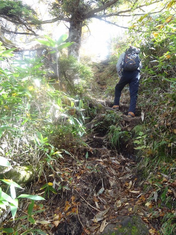 戸隠山　とんでもなく　デンジャラスな山　日本二百名山　_b0124306_18475859.jpg