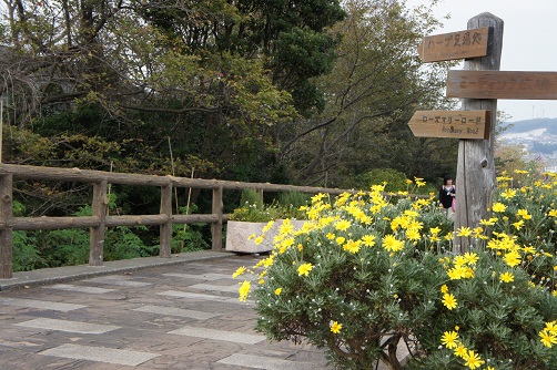 b0112909_219322.jpg