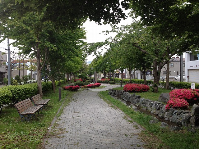 d0153509_1411747.jpg