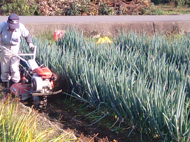 f0231709_17481584.jpg