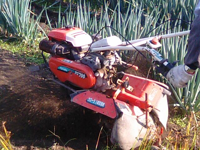 f0231709_1749367.jpg