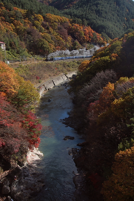 紅葉の諏訪峡 - 2011年・上越線 - _b0190710_2332312.jpg