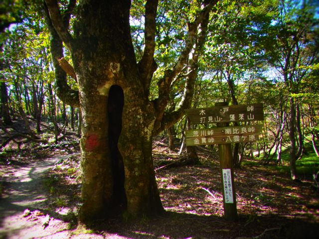 b0183911_22141819.jpg