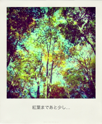 b0183911_23224635.png