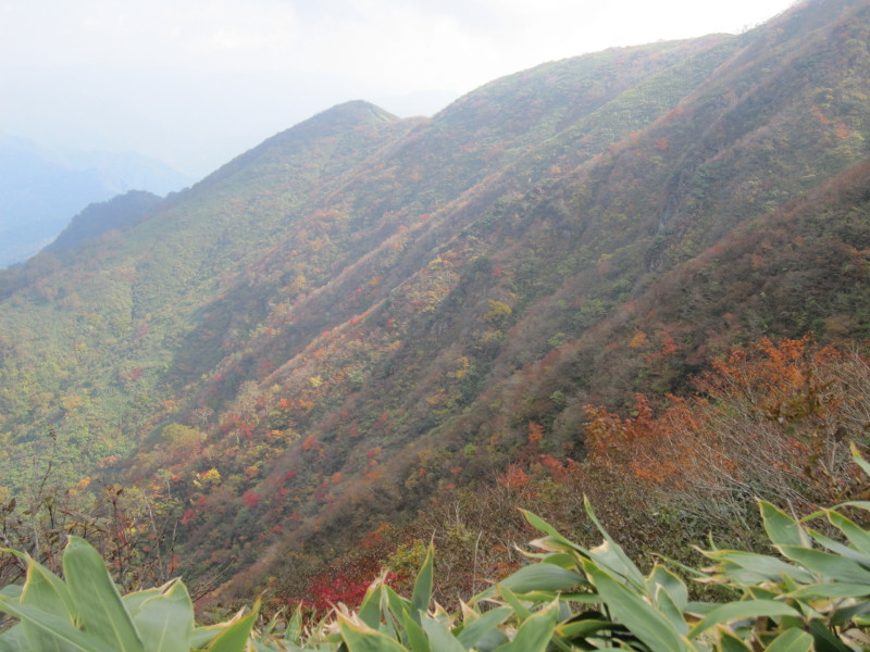 荒島岳の紅葉レポ 2012_d0103314_22102388.jpg