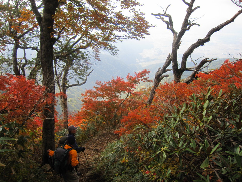 荒島岳の紅葉レポ 2012_d0103314_22153870.jpg