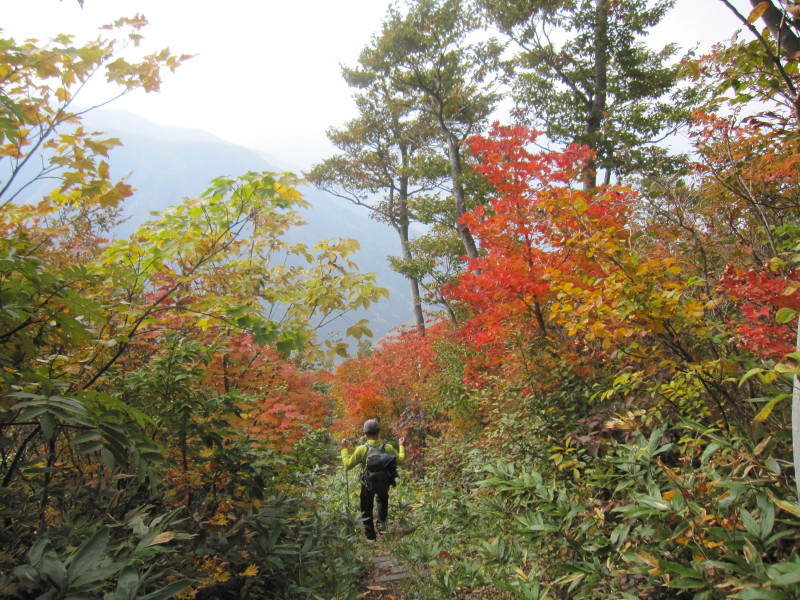 荒島岳の紅葉レポ 2012_d0103314_22183271.jpg