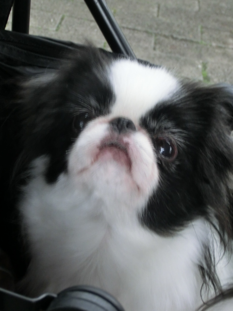 c0200916_22443626.jpg