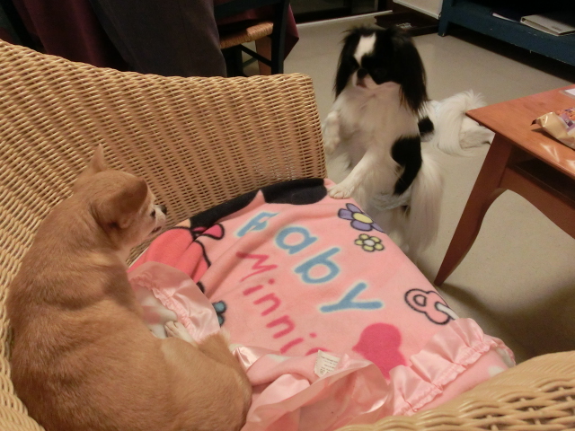 c0200916_227243.jpg