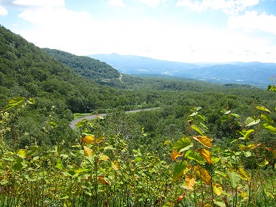 e0224118_20472366.jpg