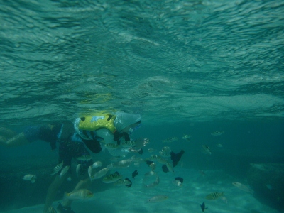 f0097620_0183394.jpg