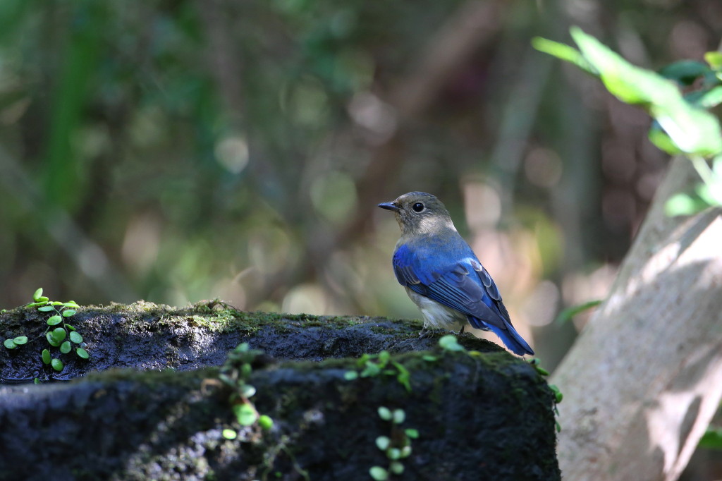 b0179023_2012346.jpg