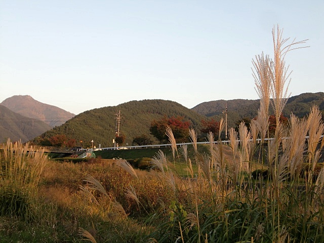 e0234924_14202896.jpg