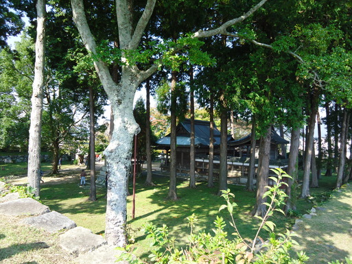 d0225727_814539.jpg