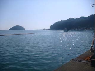 2012年10月22日(月・晴れ)甲浦_d0164831_15432673.jpg