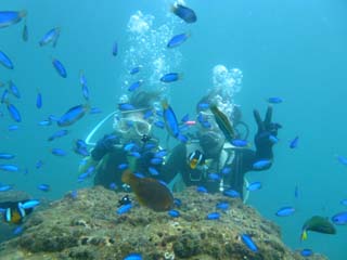 2012年10月22日(月・晴れ)甲浦_d0164831_15593023.jpg