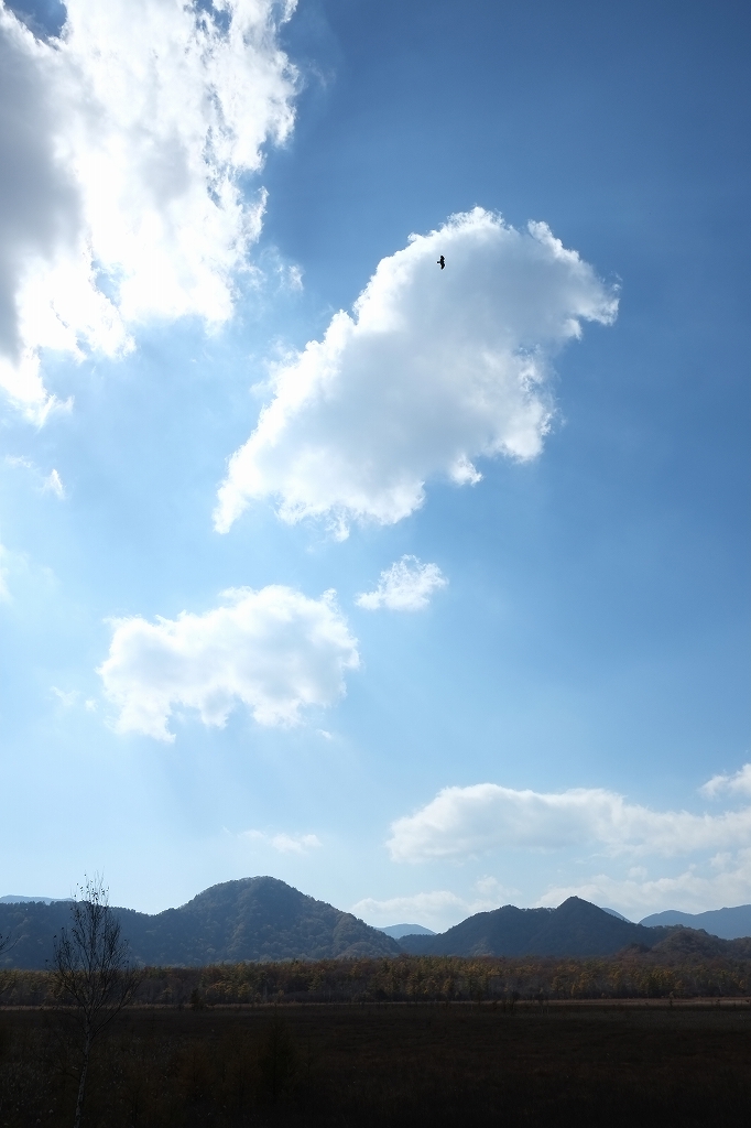 秋だ!バイクだ!ツーリング２日光ド渋滞ツーリング_f0050534_13552187.jpg