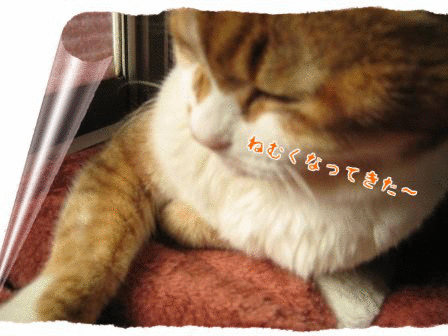 e0255638_14595015.gif