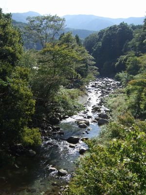 Love* 富士山 & 伊豆のワイナリー_a0068739_2041194.jpg