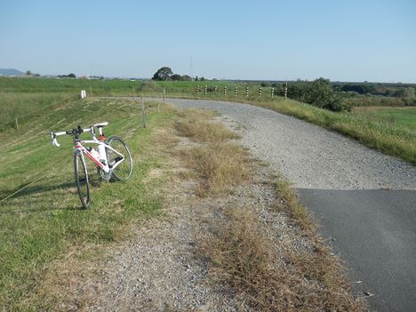 c0015639_1105070.jpg