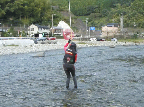 a0056140_1619899.gif