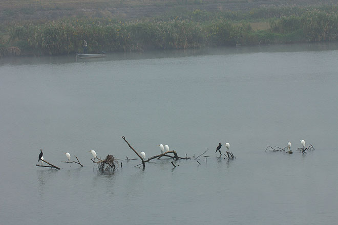c0067040_23792.jpg