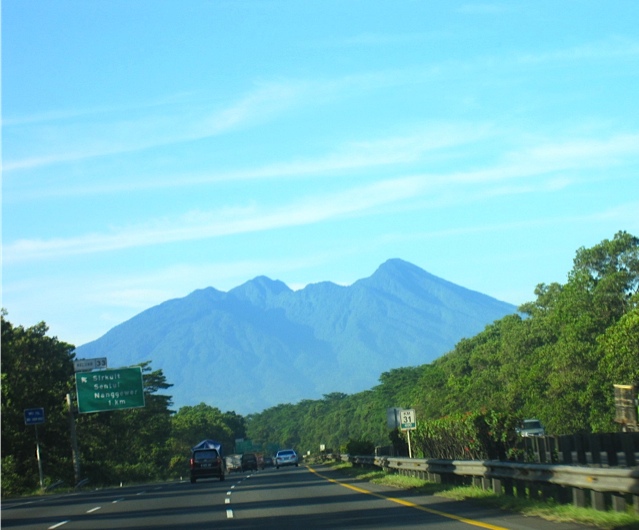 Puncak Tea Plantation_d0106242_19505473.jpg