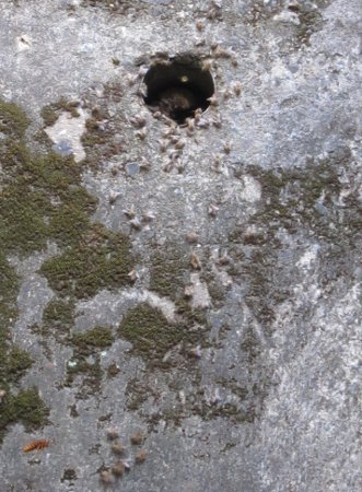 e0020945_13292493.jpg