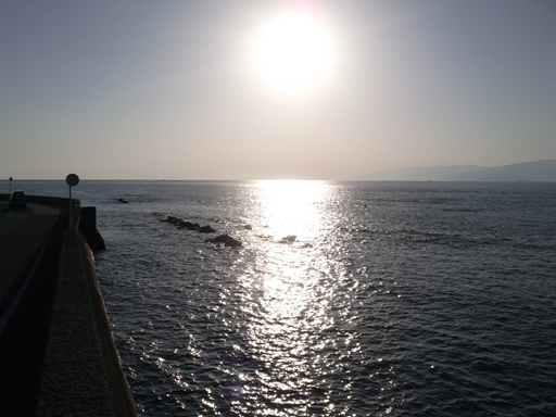 a0237349_156946.jpg