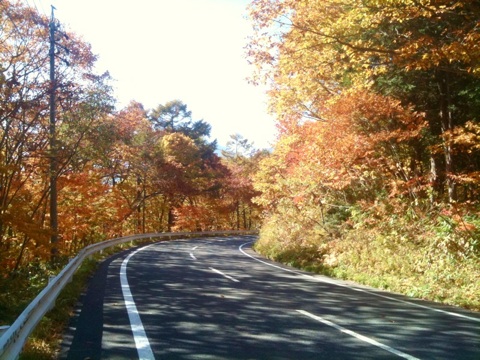 f0236449_16345555.jpg