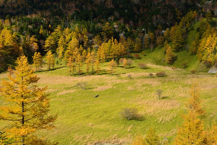 f0222161_13302511.jpg